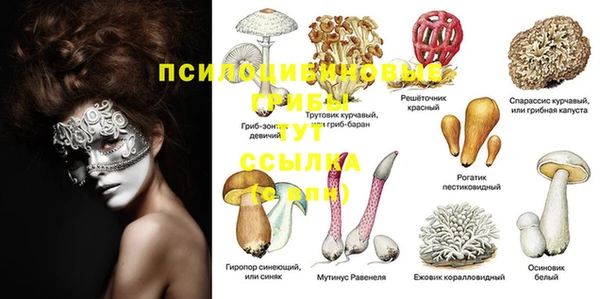 хмурый Куйбышев