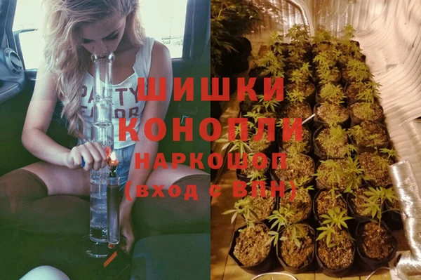 трава Краснослободск