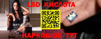 СК Бийск