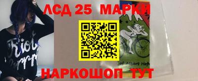 СК Бийск