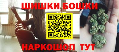 СК Бийск