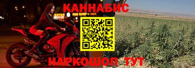 СК Бийск