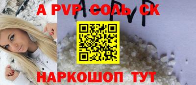 СК Бийск