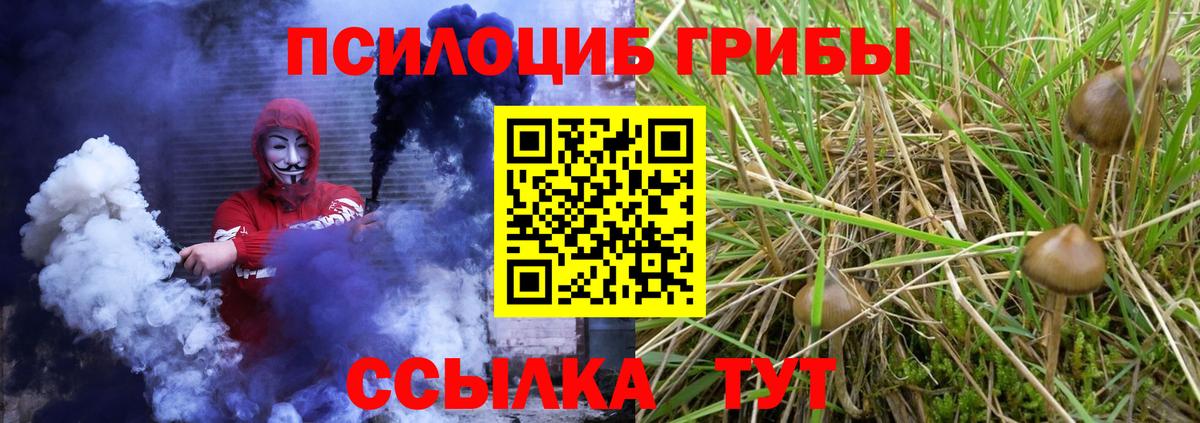 Галлюциногенные грибы Psilocybine cubensis Владикавказ