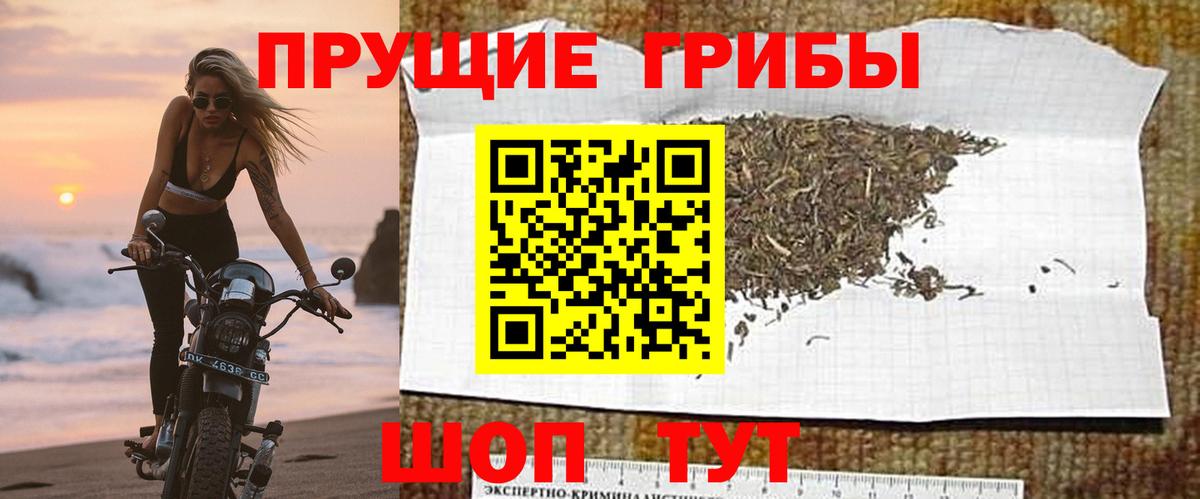 Псилоцибиновые грибы MAGIC MUSHROOMS Владикавказ