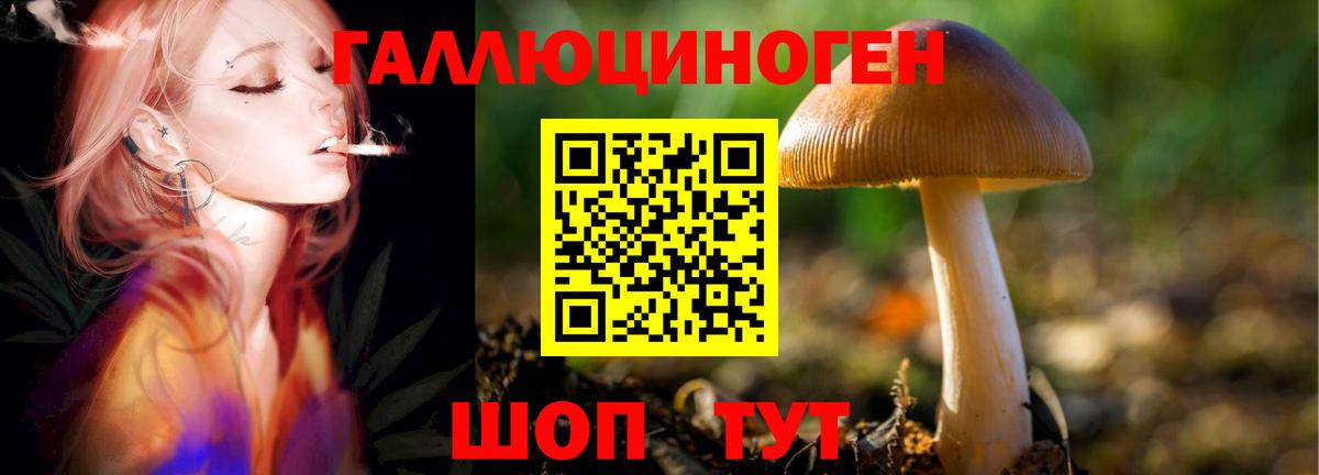 Псилоцибиновые грибы Cubensis  Вход с VPN  Псилоцибиновые грибы Psilocybe  Владикавказ 